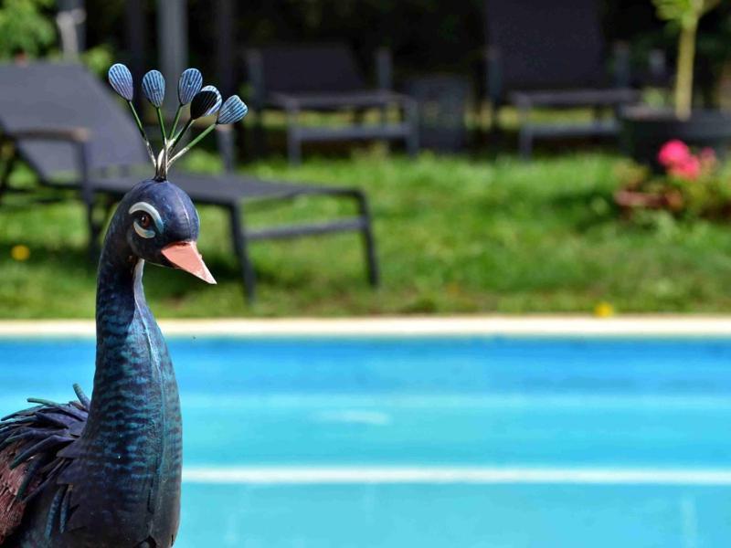 Bed and Breakfast L'Amarre Aux Anges Cormatin Экстерьер фото